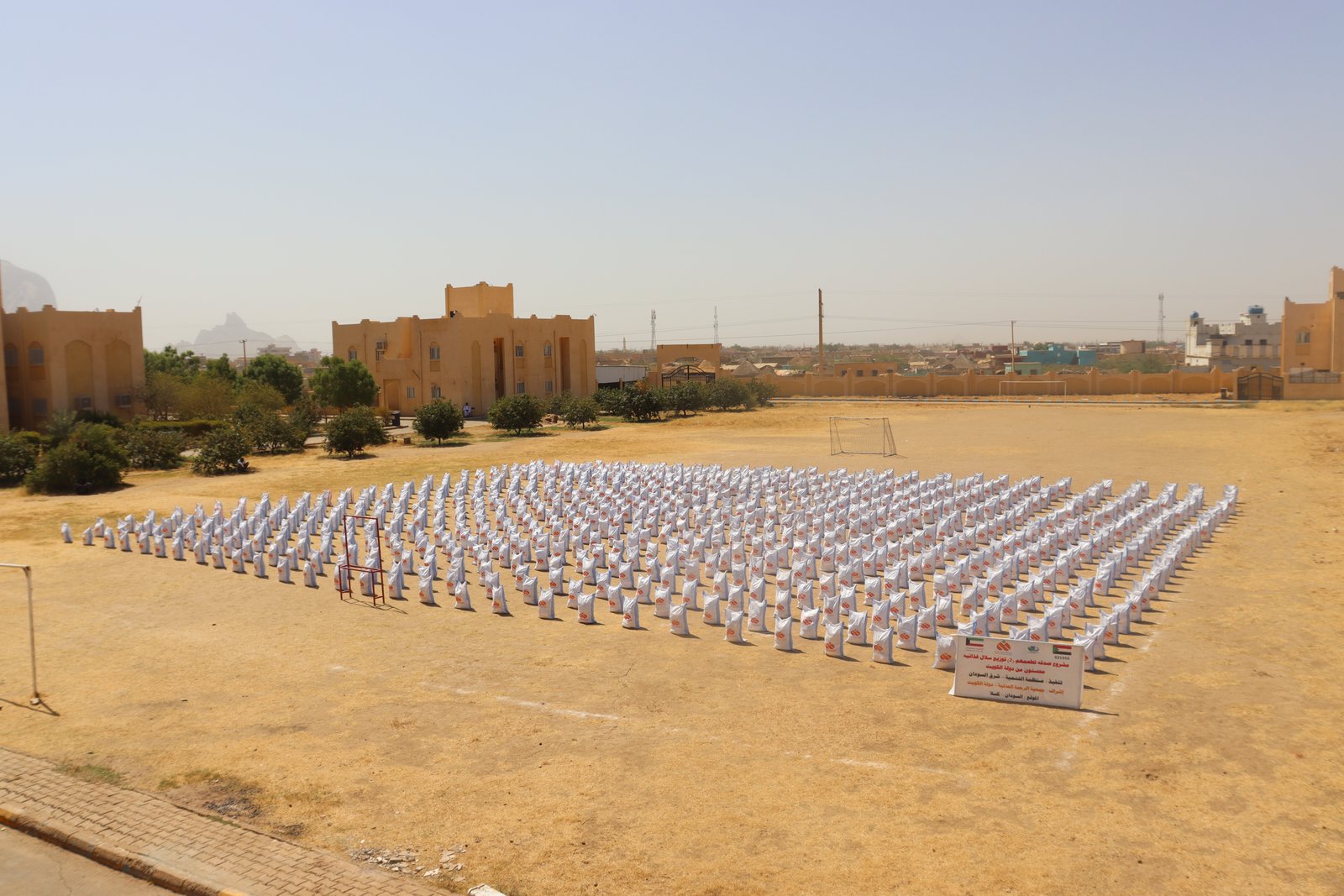 صورة النشاط