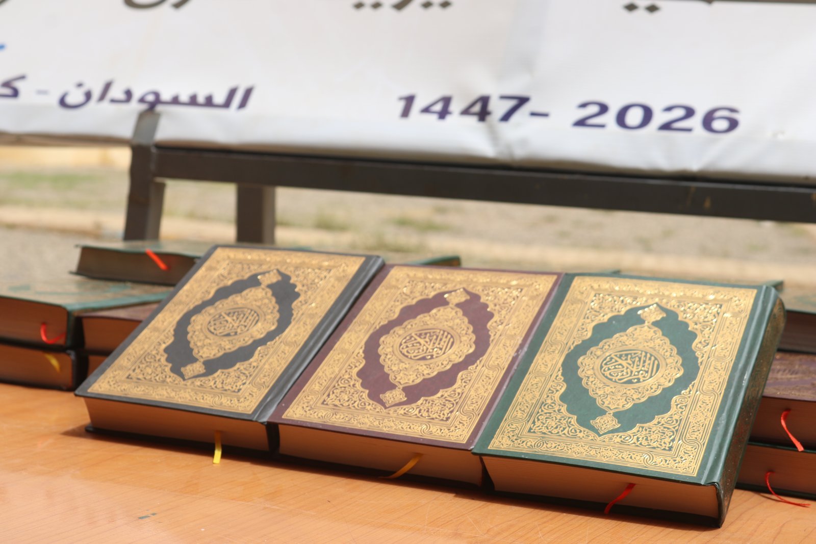 صورة النشاط