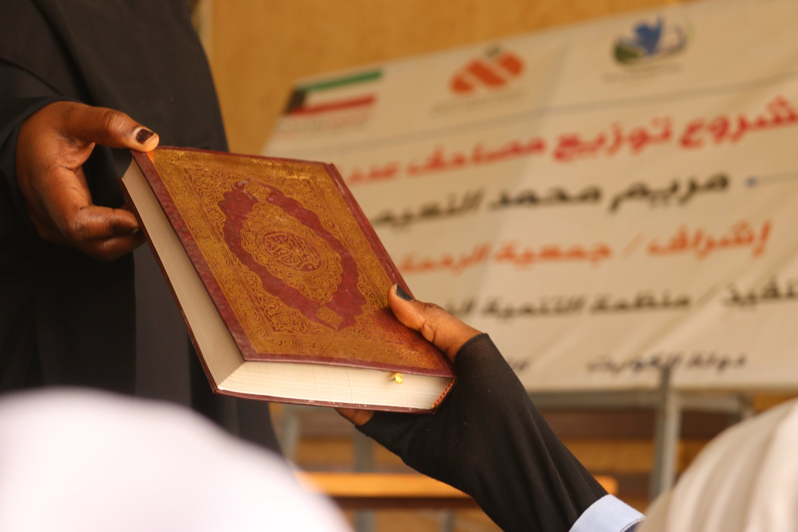 صورة النشاط
