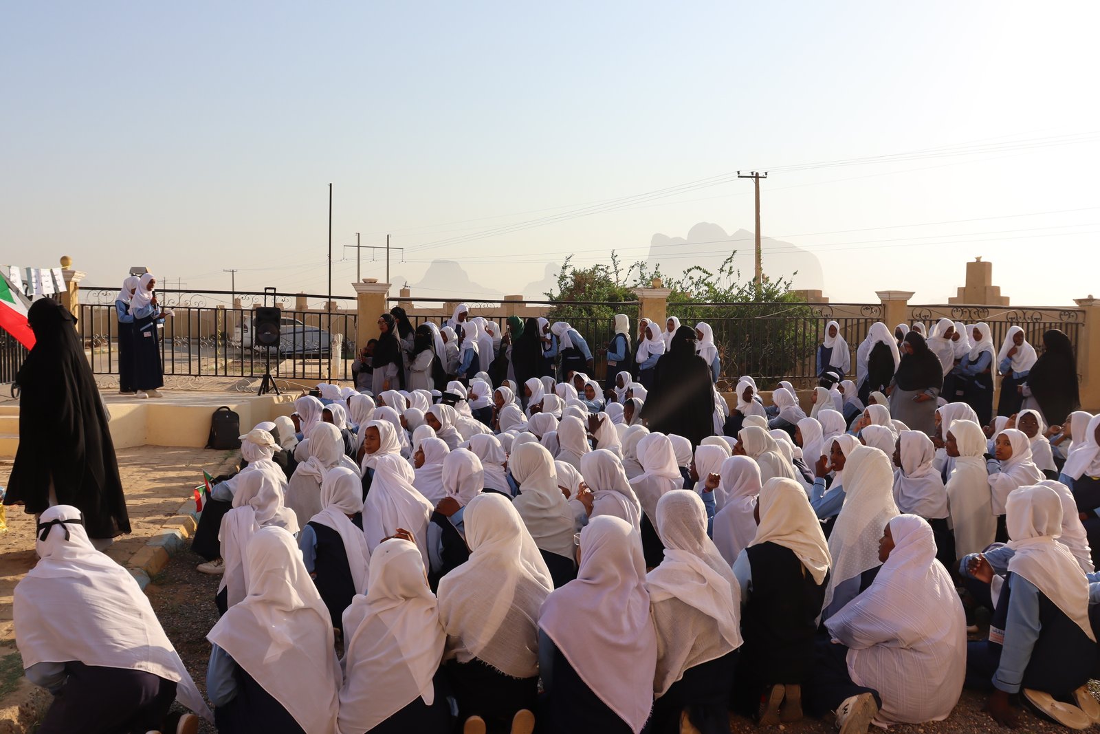 صورة النشاط