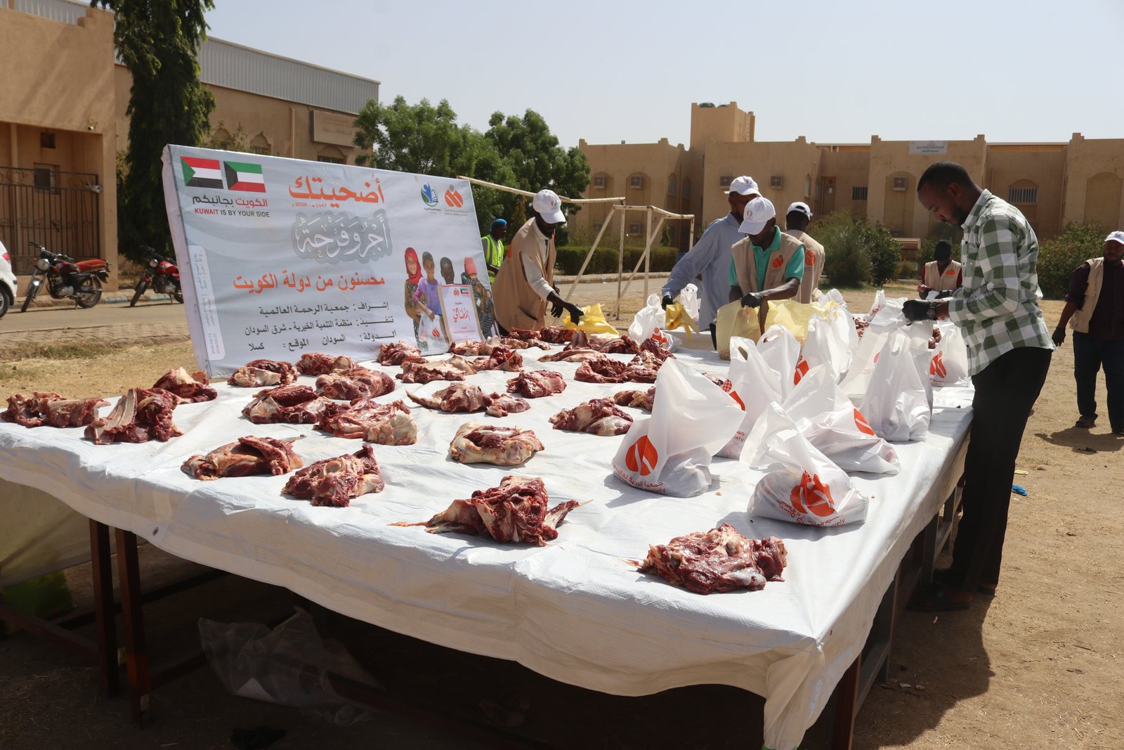 صورة النشاط