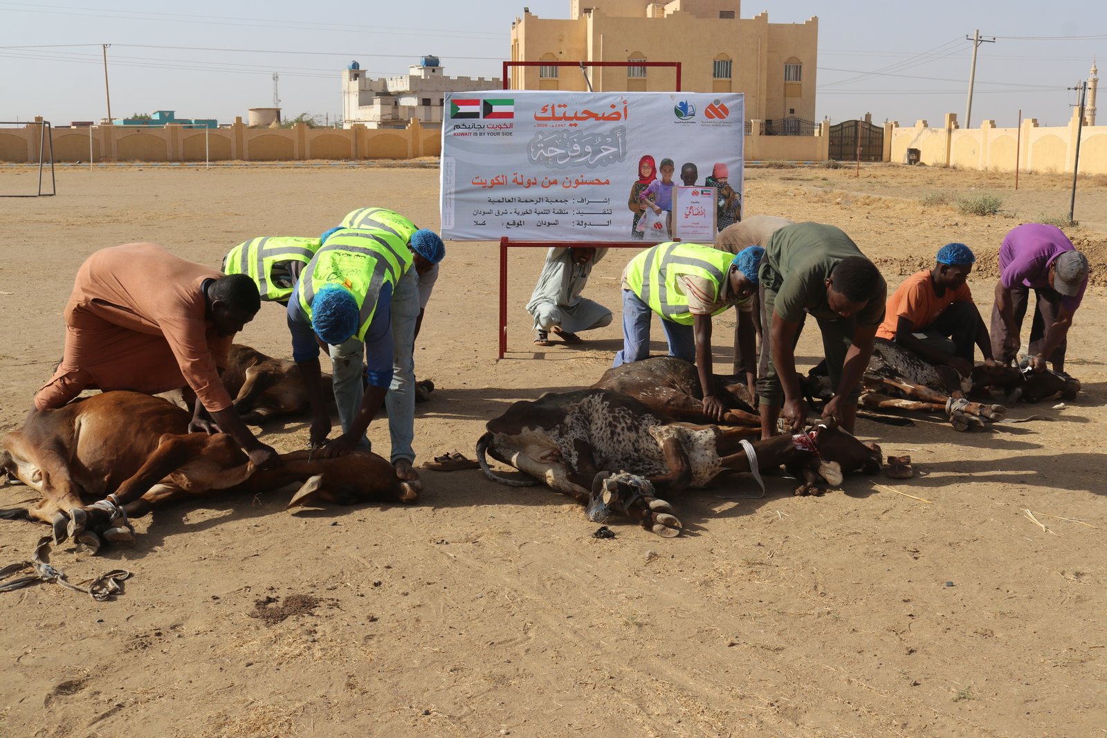 صورة النشاط