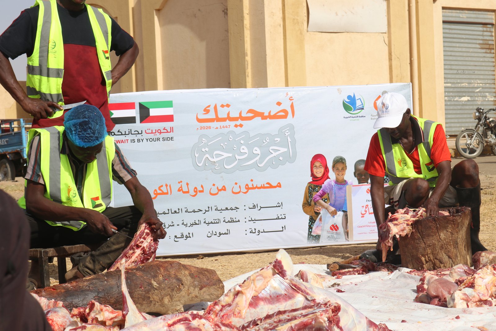 صورة النشاط