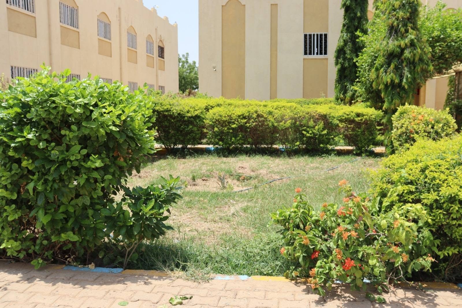 مشاركة طلاب ( جمعية الفلاحة المدرسية ) في أعمال التشجير وتجميل البيئة المدرسية